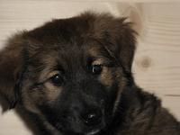 2009_01_29 einzug bella_018